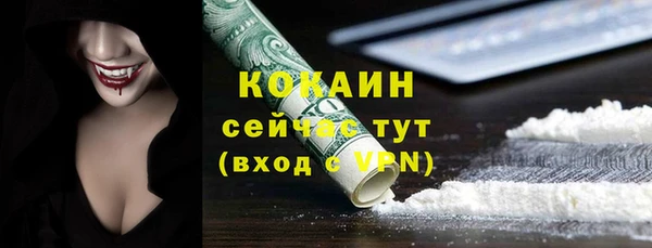 дмт Снежногорск