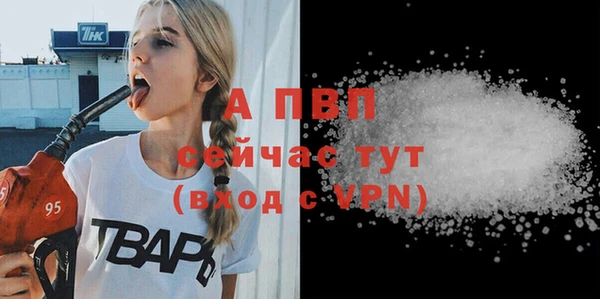 дмт Снежногорск